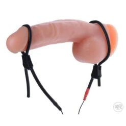 Vigor II Cock And Ball Ties And Frenulum Electro Stimulator