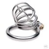 Master Series The Pen Deluxe Stainless Steel Locking Chastity Cage