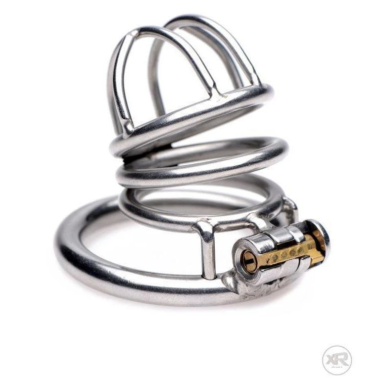 Master Series The Pen Deluxe Stainless Steel Locking Chastity Cage 2 Master Series The Pen Deluxe Stainless Steel Locking Chastity Cage - Image 2