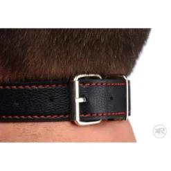 STRICT Silicone Bit Gag 8 STRICT Silicone Bit Gag -Boyz Shop AF256 3 750px