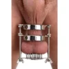 Master Series Stainless Steel Spiked CBT Ball Stretcher And Crusher