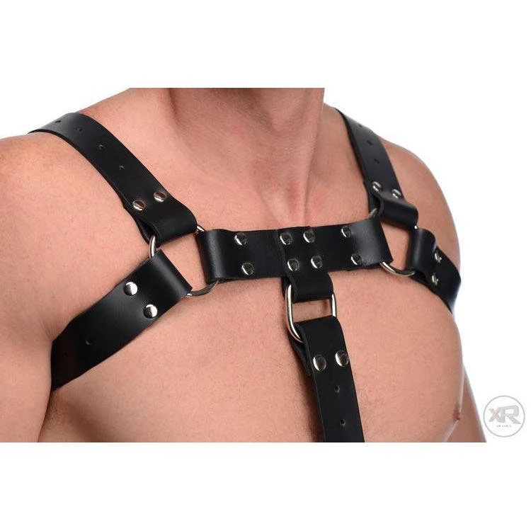 English Bull Dog Harness With Cock Strap 2 English Bull Dog Harness With Cock Strap - Image 2