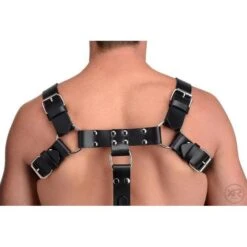 English Bull Dog Harness With Cock Strap 9 English Bull Dog Harness With Cock Strap -Boyz Shop AF551 Male Model 005 750