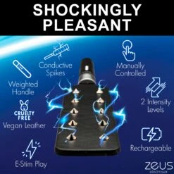E-stim Spiked Paddle 14 E-stim Spiked Paddle -Boyz Shop AH165 04
