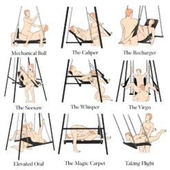 Master Series Throne Adjustable Sex Swing With Stand -Boyz Shop AH175 Illustration BZ