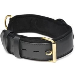 Master Series Tracer Tracking Collar -Boyz Shop AH184 07 bulk