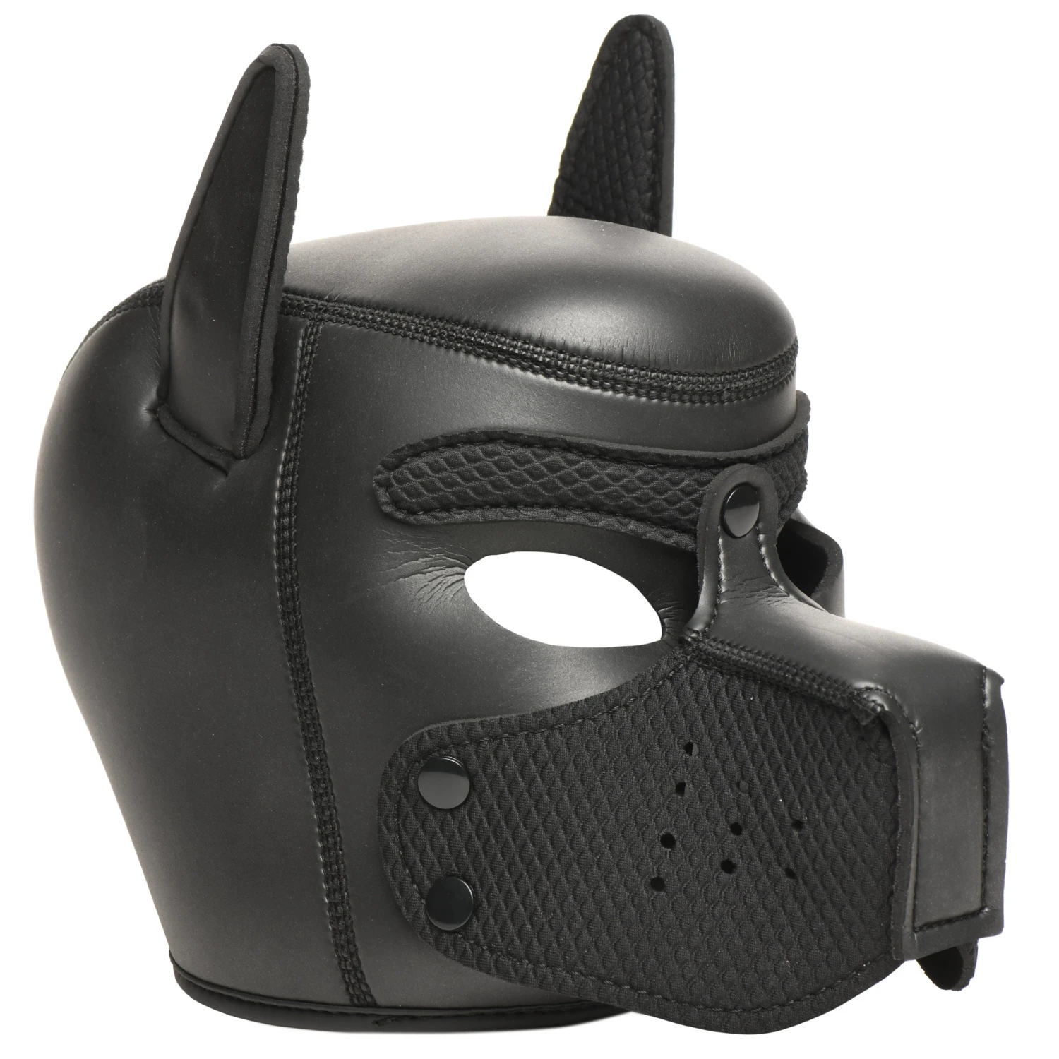 Master Series 9 Piece Deluxe Pup Arsenal Set 10 Master Series 9 Piece Deluxe Pup Arsenal Set - Image 10