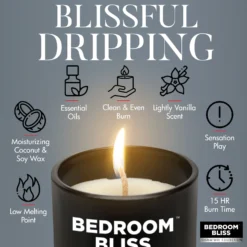 Master Series Lover's Vanilla Massage Candle -Boyz Shop AH279 04