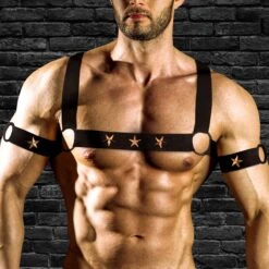 Master Series Rave Harness Elastic Chest Harness With Arm Bands