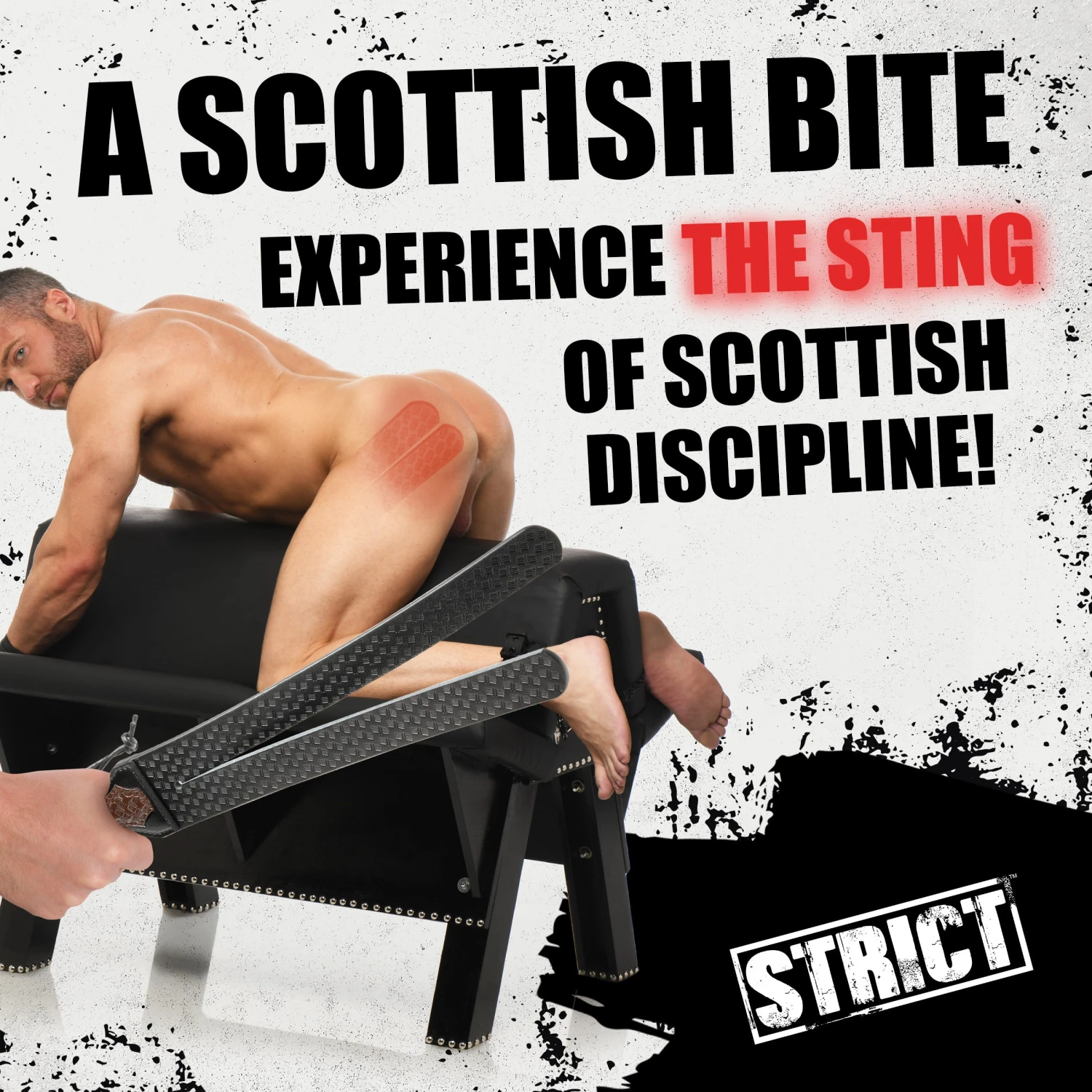 STRICT Scottish Tawse 7 STRICT Scottish Tawse - Image 7