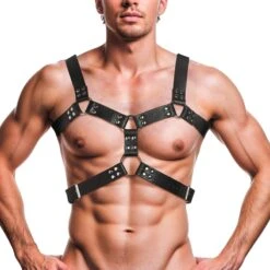 STRICT The 6 O-Ring Chest Harness