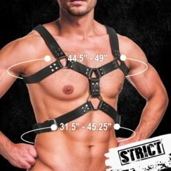 STRICT The 6 O-Ring Chest Harness 8 STRICT The 6 O-Ring Chest Harness -Boyz Shop AH624 01