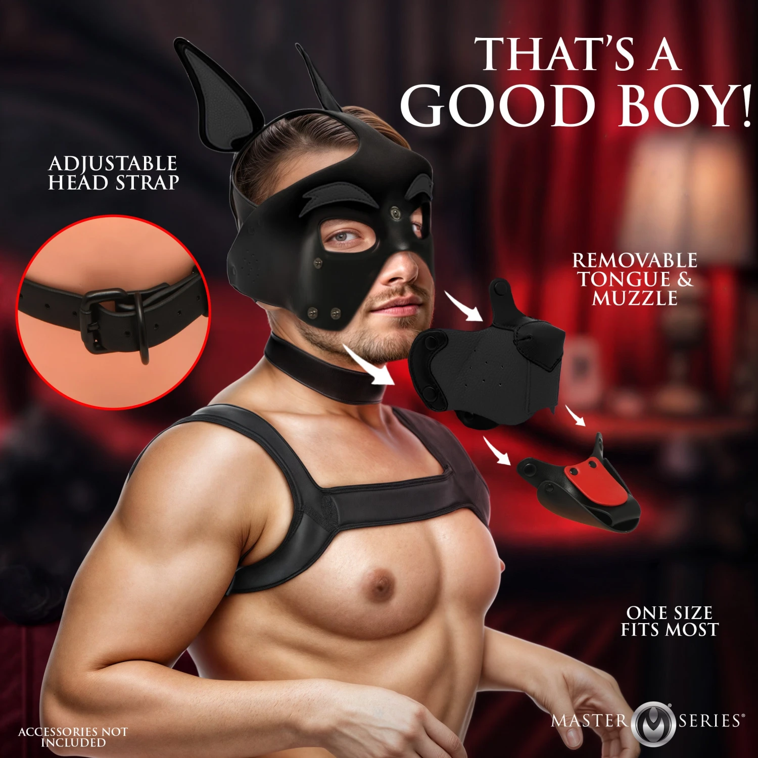 Master Series Alpha Dog Pup Hood 5 Master Series Alpha Dog Pup Hood - Image 5