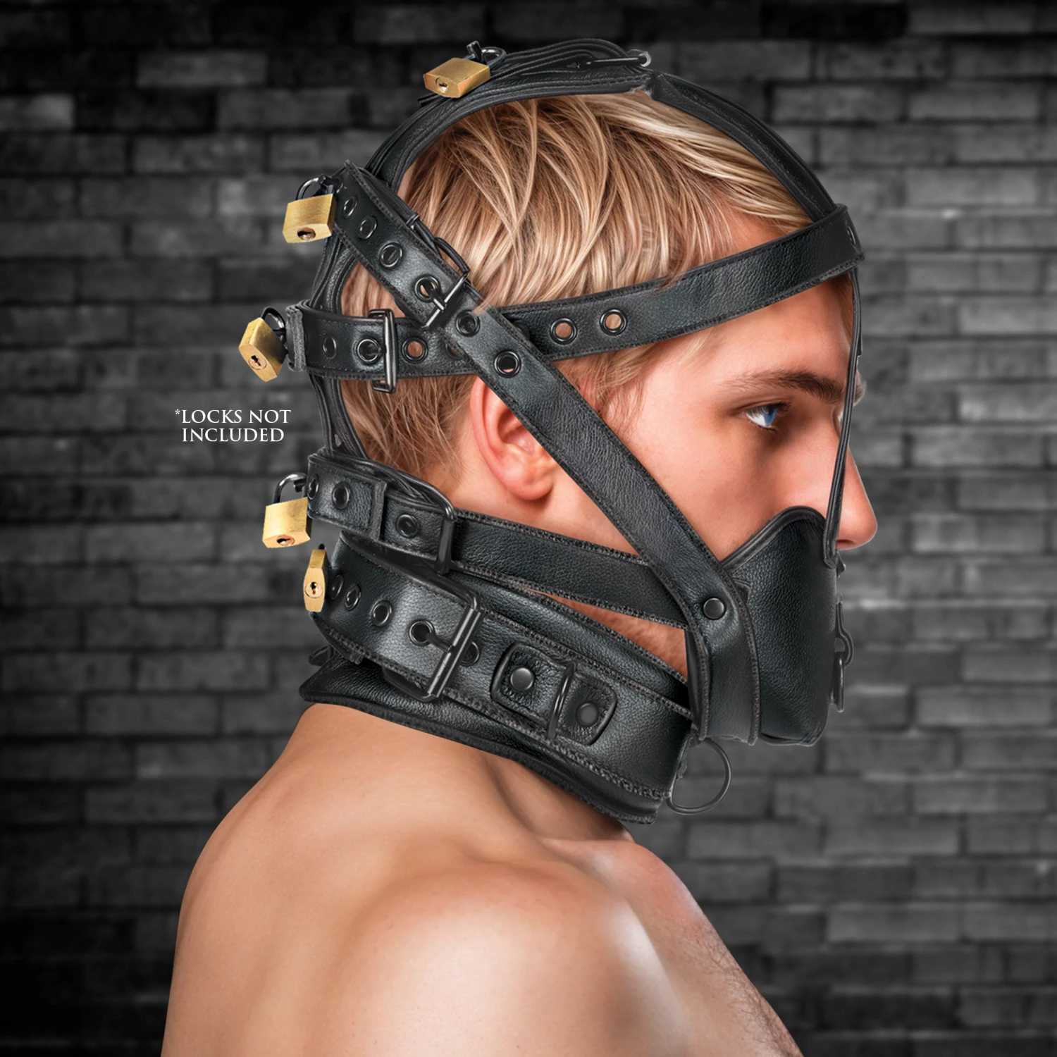 Lockable Head Harness With Muzzle 1 Lockable Head Harness With Muzzle