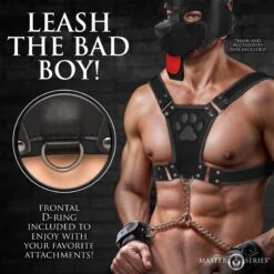 Master Series Alpha Pup Bulldog Harness 11 Master Series Alpha Pup Bulldog Harness -Boyz Shop AH756 Black 02 XR