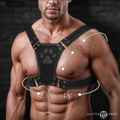 Master Series Alpha Pup Bulldog Harness 12 Master Series Alpha Pup Bulldog Harness -Boyz Shop AH756 Black 03