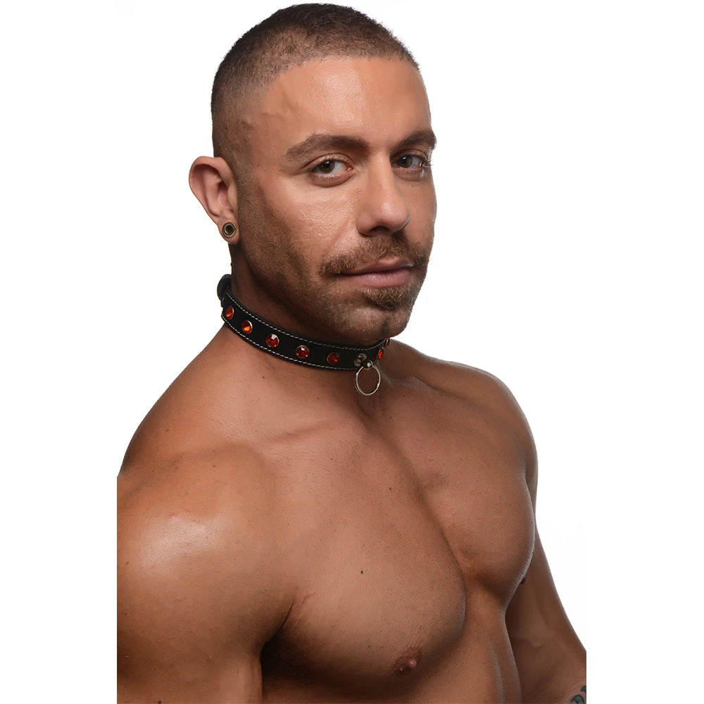 STRICT Rhinestone Choker With O-Ring 1 STRICT Rhinestone Choker With O-Ring