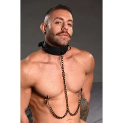 Master Series Collared Temptress Collar With Nipple Clamps