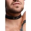 Leather Identification Collars