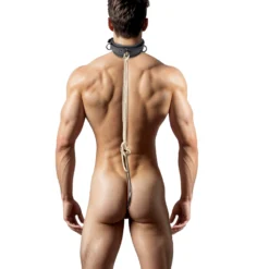 Master Series The Stainless Steel Anal Hook