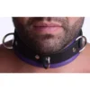Strict Leather Black And Purple Deluxe Locking Collar