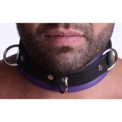 Strict Leather Black And Purple Deluxe Locking Collar