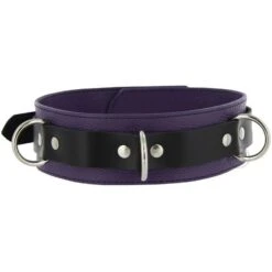 Strict Leather Black And Purple Deluxe Locking Collar -Boyz Shop SL212 Front wm big