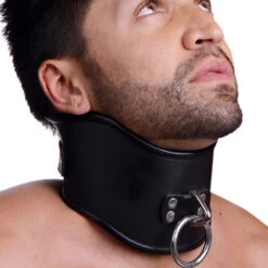 Strict Leather Lockable Posture Collar