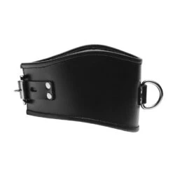 Leather Locking Posture Collar -Boyz Shop VF532 crop 3