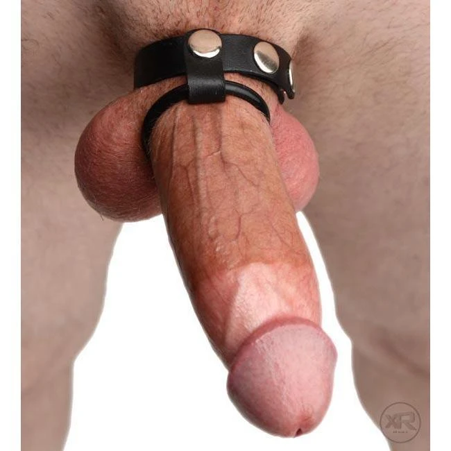 Cock Ring Harness 4 Cock Ring Harness - Image 4