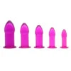 Purple 5pc Anal Trainer Kit