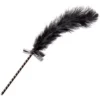 Frisky Feather Tickler