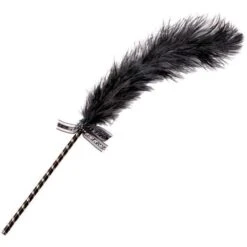 Frisky Feather Tickler