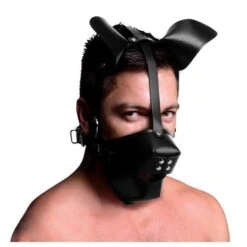 Master Series Pup Puppy Play Hood And Breathable Ball Gag
