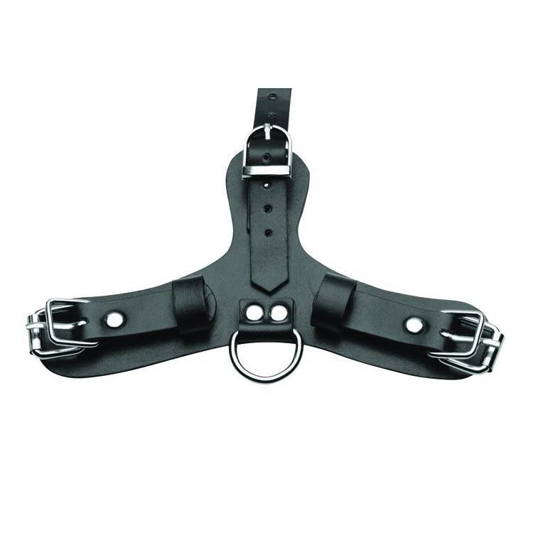 Master Series Pup Puppy Play Hood And Breathable Ball Gag 4 Master Series Pup Puppy Play Hood And Breathable Ball Gag - Image 4