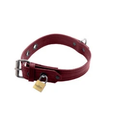 Burgundy Premium Leather Collar And Cuffs -Boyz Shop ae797 a closeup burgundy