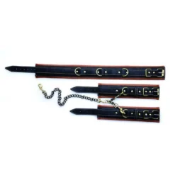 Master Series Coax Collar To Wrist Restraints -Boyz Shop ae817 d 750