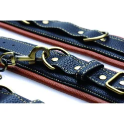 Master Series Coax Collar To Wrist Restraints -Boyz Shop ae817 e 750