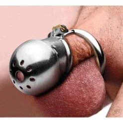 Master Series Exile Deluxe Locking Stainless Steel Confinement Cage