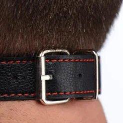 STRICT Silicone Bit Gag With Nipple Clamps 8 STRICT Silicone Bit Gag With Nipple Clamps -Boyz Shop af651 model retouched 004