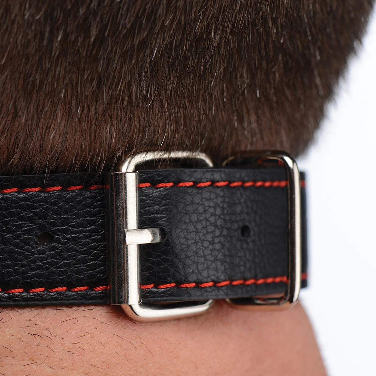 STRICT Silicone Bit Gag With Nipple Clamps 3 STRICT Silicone Bit Gag With Nipple Clamps - Image 3