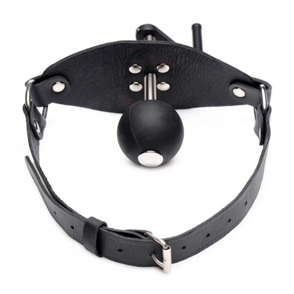 Master Series Crank Ball Gag 6 Master Series Crank Ball Gag - Image 6