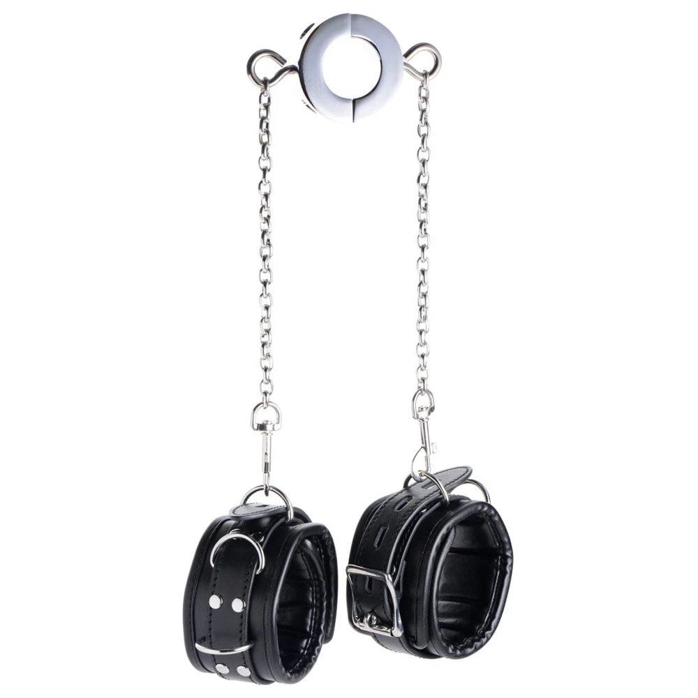 Master Series Hells Tether Ball Stretcher Humbler 7 Master Series Hells Tether Ball Stretcher Humbler - Image 7