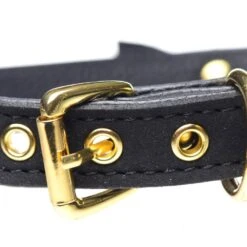 Master Series Golden Kitty Cat Bell Collar 10 Master Series Golden Kitty Cat Bell Collar -Boyz Shop ag456 black 005 1000x1000 1e7e70b2 7927 48c3 9cca c5ab6fff2180