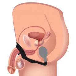 10X P-Bomb Silicone Cock And Ball Ring With Vibrating Anal Plug