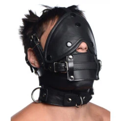 Leather Head Harness With Removeable Gag