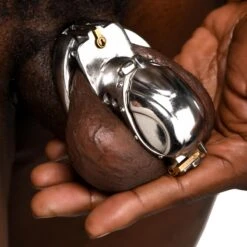 Master Series Entrapment Deluxe Locking Chastity Cage