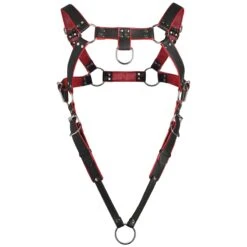 Master Series Heathen's Male Body Harness 15 Master Series Heathen's Male Body Harness -Boyz Shop ah094 sm 012
