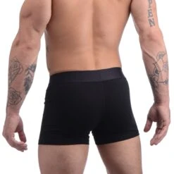 Incognito Boxer Harness With Hidden O-Ring 7 Incognito Boxer Harness With Hidden O-Ring -Boyz Shop ah152 male model 004