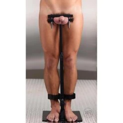 The Cock And Ball Pillory